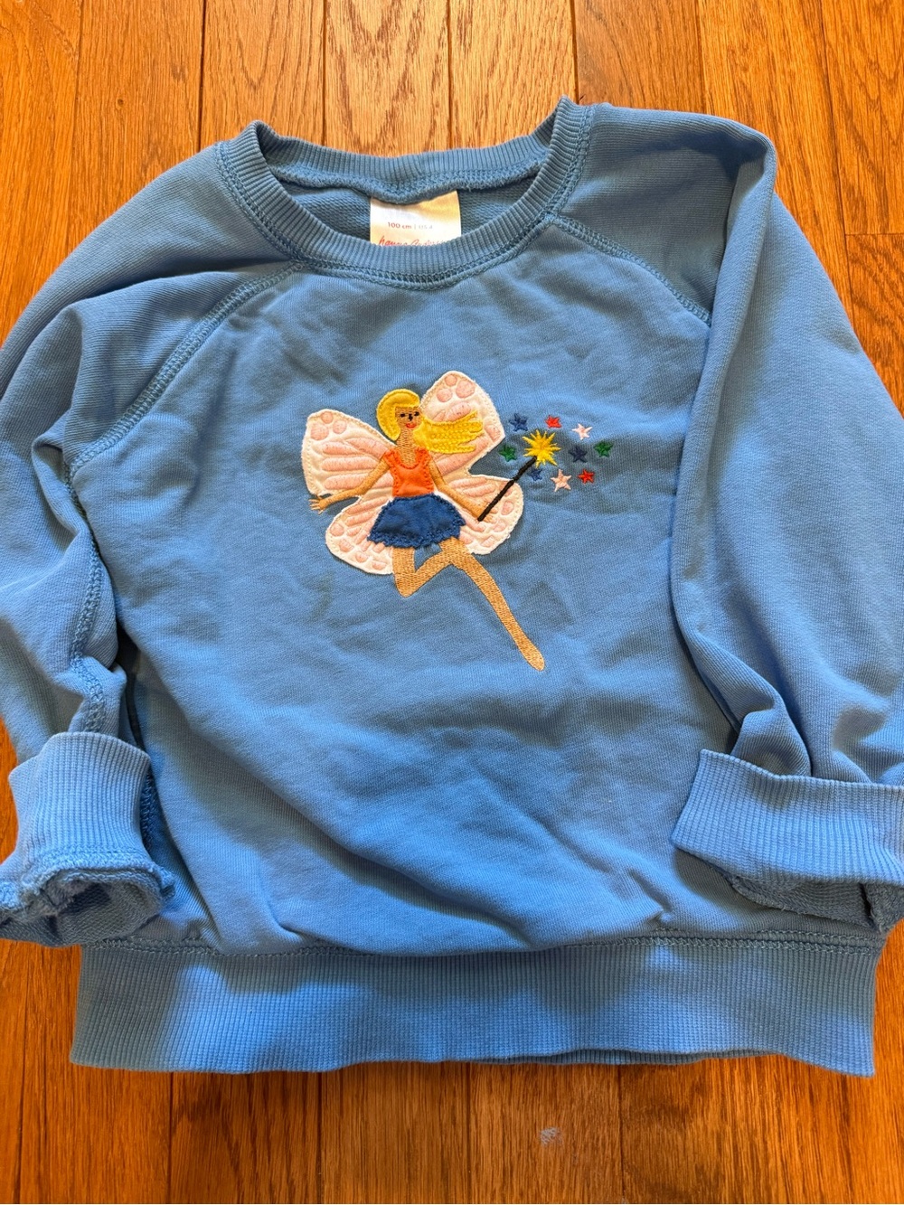 Hanna Andersson Blue Sweatshirt with Embroidered Fairy